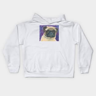 Pug In A Funk Kids Hoodie